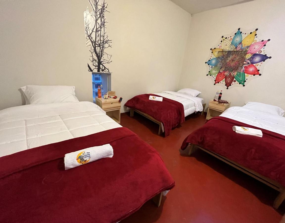 Hostel The Sleepy Mouse Cusco Exterior foto